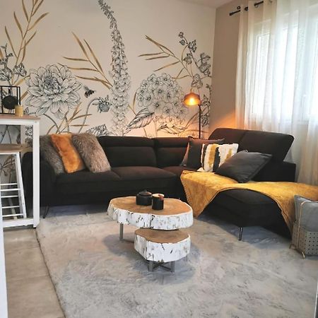 סן-פייר Appartement Chic & Cosy מראה חיצוני תמונה
