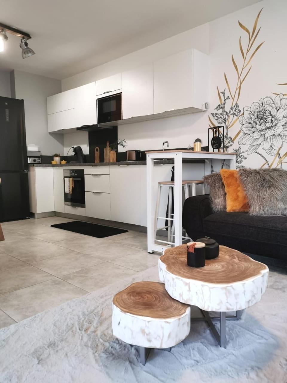סן-פייר Appartement Chic & Cosy מראה חיצוני תמונה