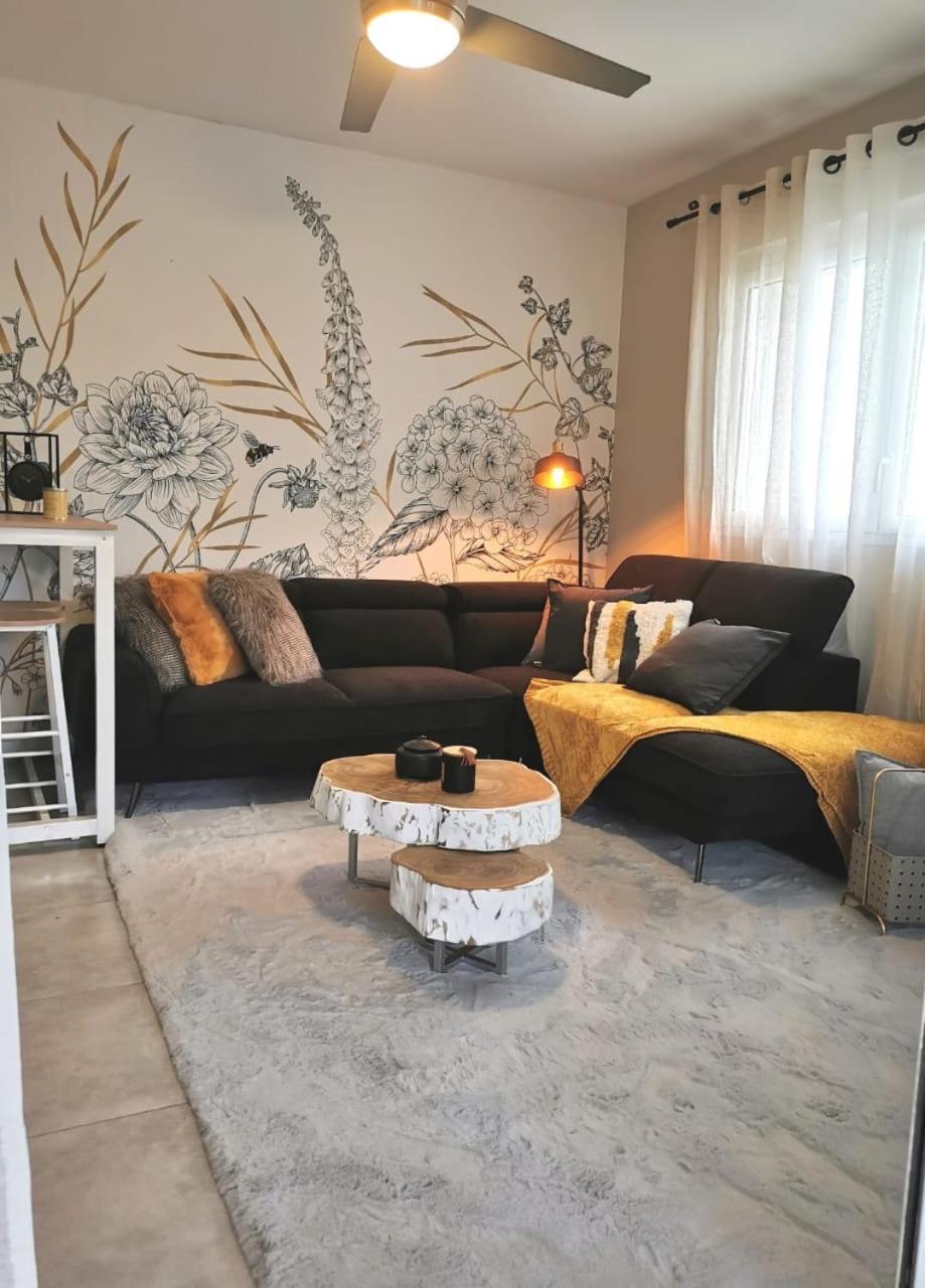 סן-פייר Appartement Chic & Cosy מראה חיצוני תמונה
